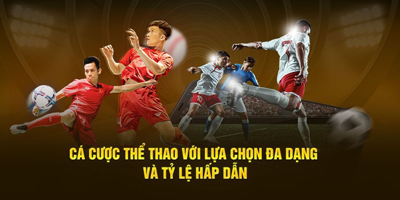 Sảnh Sports chuyên nghiệp mang đến hệ số cược ưu việt